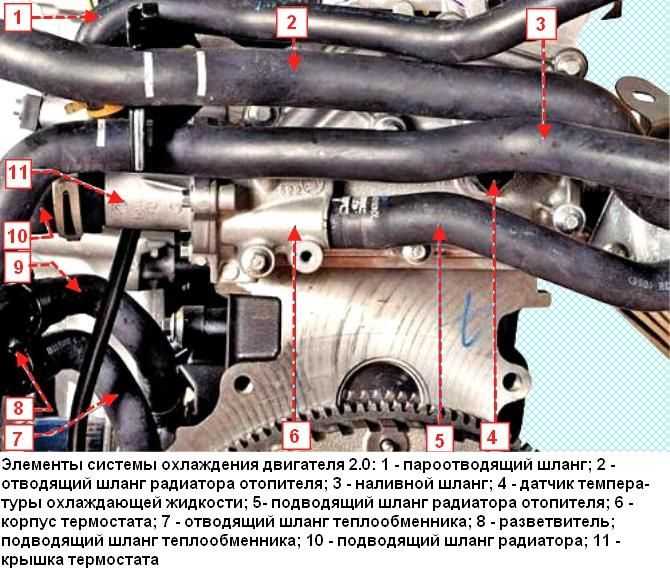 Схема системы охлаждения двигателя рено меган 2 дизель